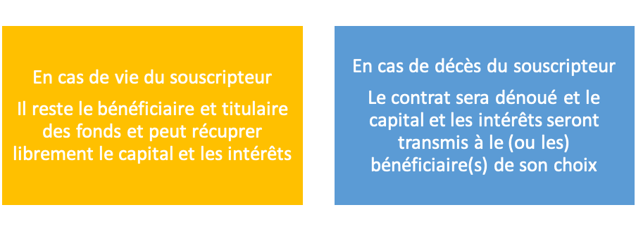 PER ou Assurance Vie : quel produit choisir ?